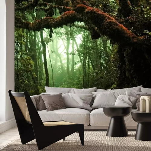 Fotobehang Donker oerwoud