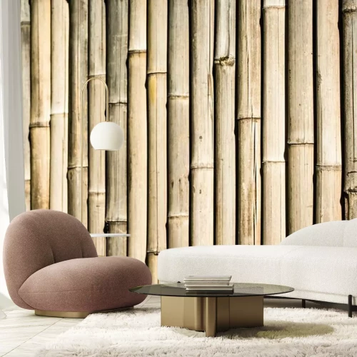 Fotobehang Droge bamboe