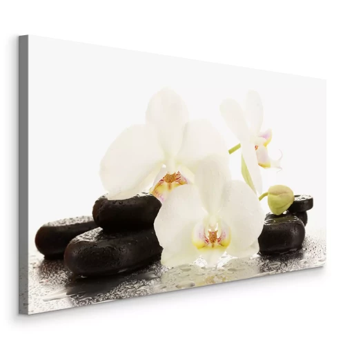 Canvas Zenstenen en witte orchideeën