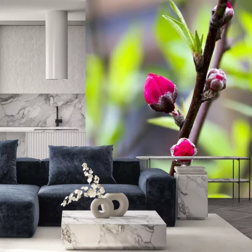 Fotobehang Bloeiende perzikbloemen