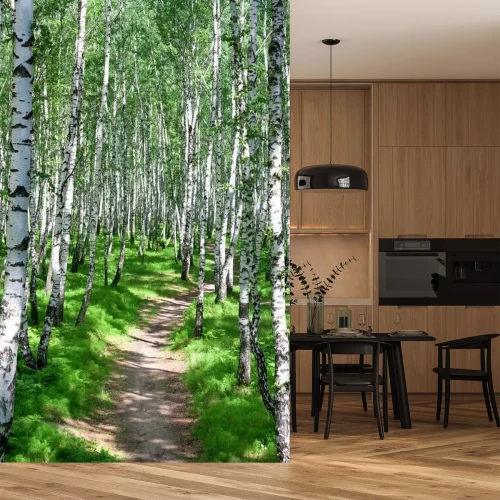 Fotobehang Aangestampt pad door een berkenbos