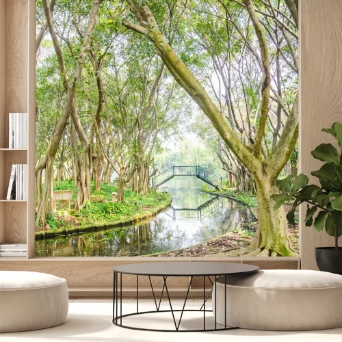 Fotobehang Bomen met onbedekte wortels