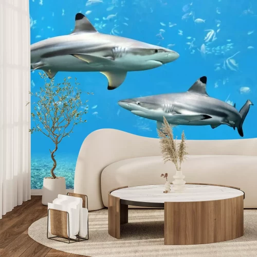 Fotobehang Haaien in de oceaan