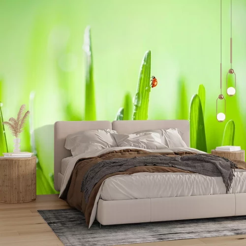 Fotobehang Lieveheersbeestje op een grassprietje