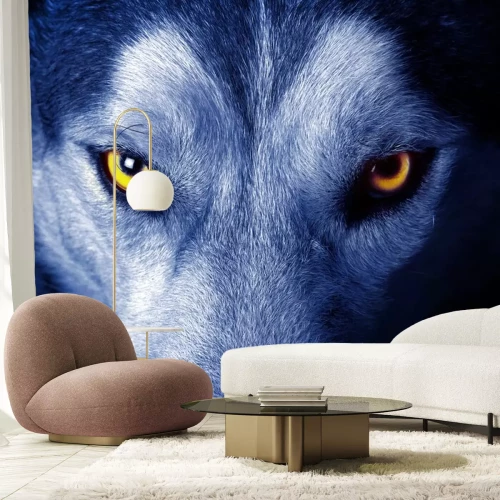 Sticker Gele ogen van een wolf