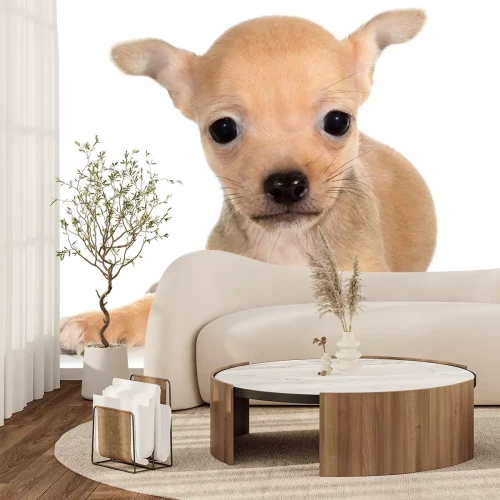 Sticker Kleine bruine hond