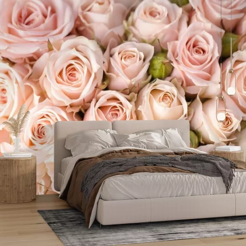Fotobehang Lichtroze rozen