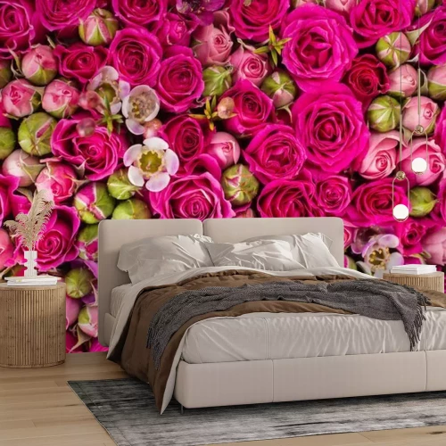 Fotobehang Roze rozen open en gesloten