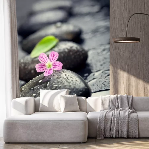 Sticker Roze bloem en groen blad op spa steen op natte zwarte oppervlak, cl