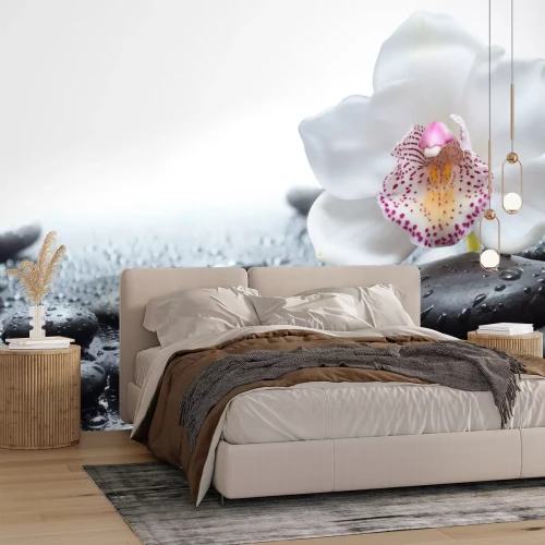 Fotobehang Witte orchidee en zwarte zenstenen