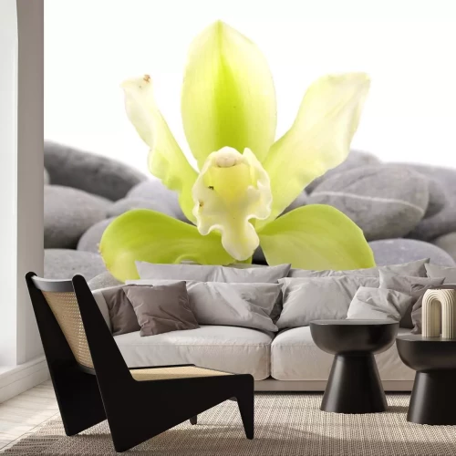 Sticker Spa essentials piramide van stenen met orchidee