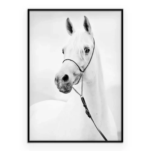 Poster Buste van een volbloedpaard