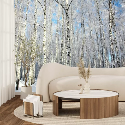 Fotobehang Zonnige winter met berken