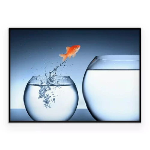 Poster Goudvis die van aquarium wisselt