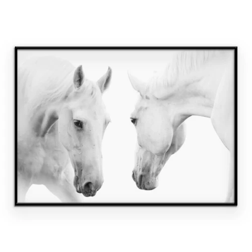 Poster Twee paarden die elkaar recht in de ogen kijken.