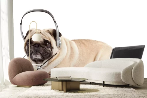 Visualisatie van het product