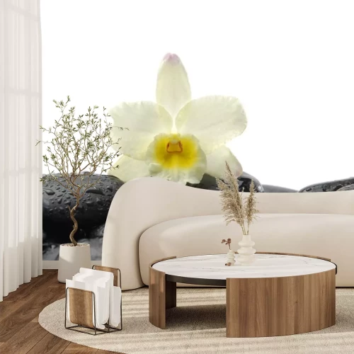 Sticker zwarte stenen en orchidee met reflectie