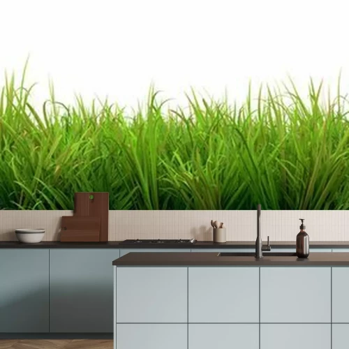 Fotobehang Plukjes groen gras