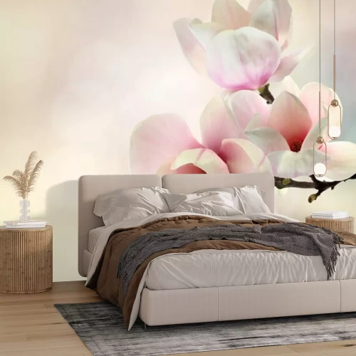 Fotobehang Magnolia op een wazige achtergrond