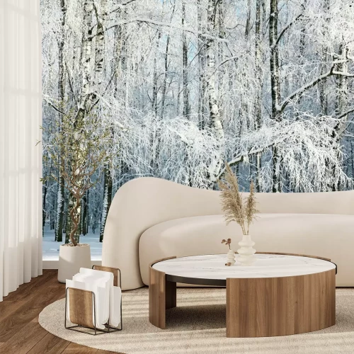 Fotobehang Winterse berken in een bos