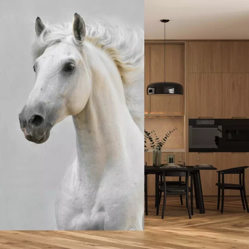 Fotobehang Lopend Arabisch paard