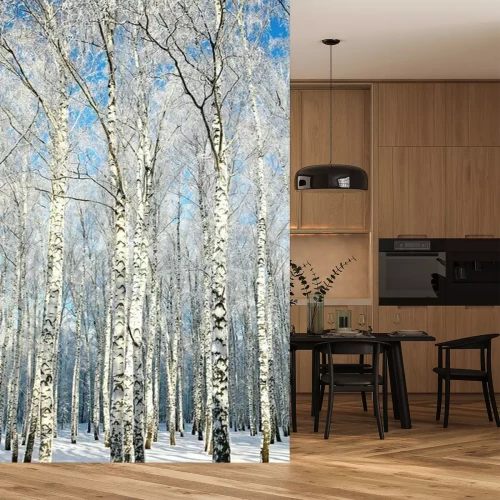 Fotobehang Hoge en slanke berken