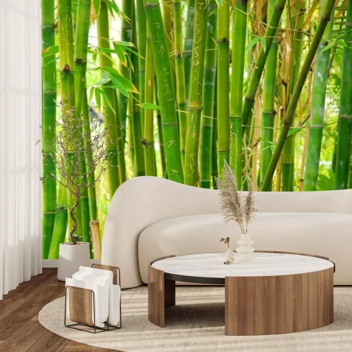 Fotobehang Bamboestengels in het bos