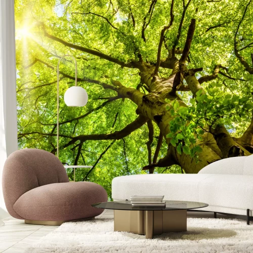 Fotobehang 3D bomen van onderen bekeken