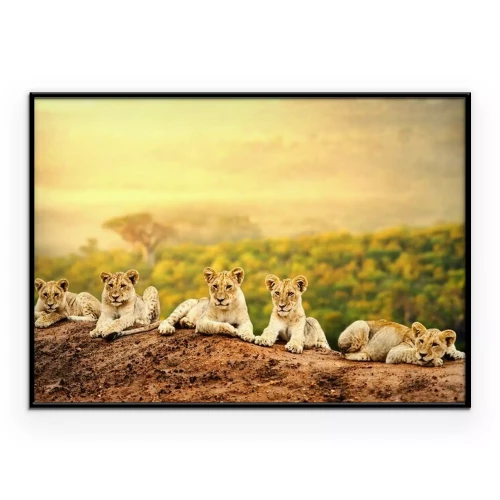 Poster Jonge leeuwen in de savanne