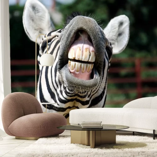 Sticker zebra glimlach en tanden