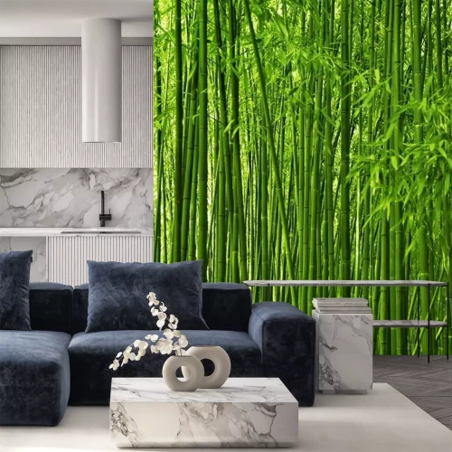 Fotobehang Dicht bos vol bamboe
