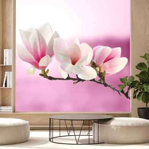 Sticker Magnoliatak op een roze achtergrond