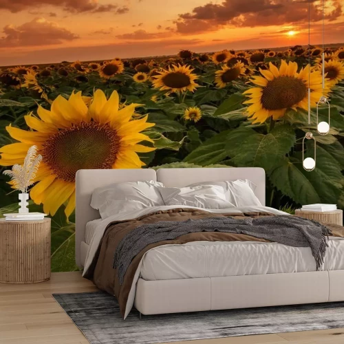 Fotobehang Zonsondergang wolken en zonnebloemen