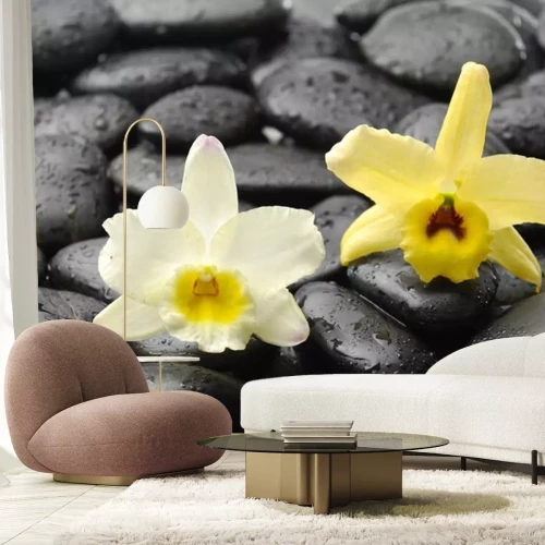 Sticker zwarte stenen en roze orchidee