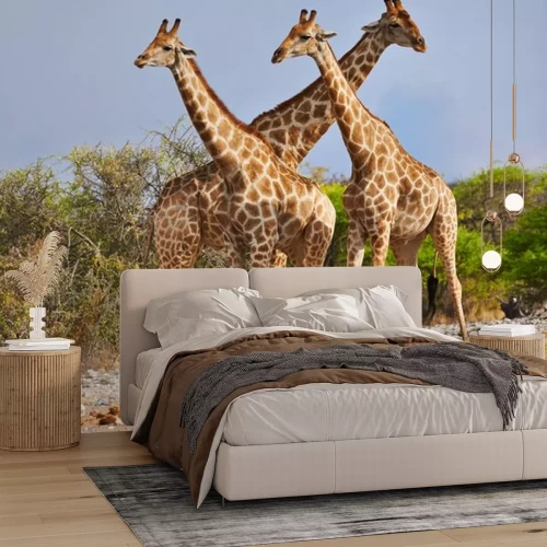 Sticker Groep giraffen in het nationaal park