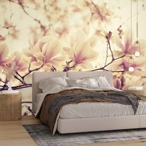 Fotobehang Bloeiende magnolia op een sepiafoto