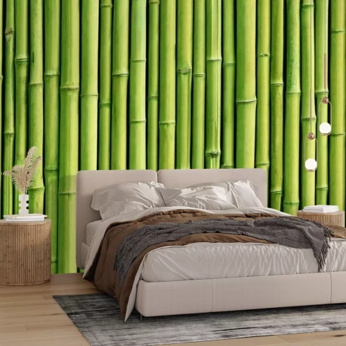 Fotobehang Groene bamboe schutting