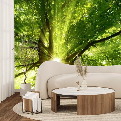 Fotobehang Zonnestralen en bomen