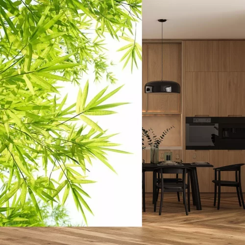 Fotobehang Blaadjes van bamboe op witte achtergrond