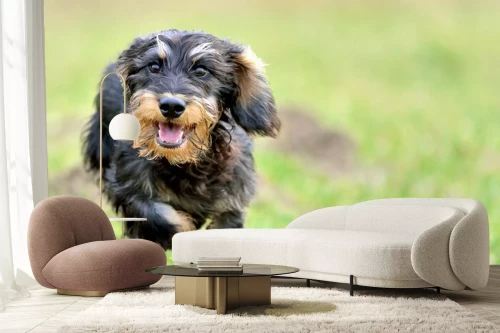 Visualisatie van het product