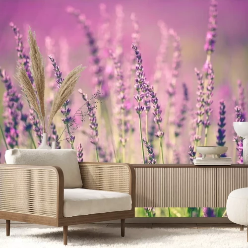 Fotobehang Close-up van lavendeltakjes