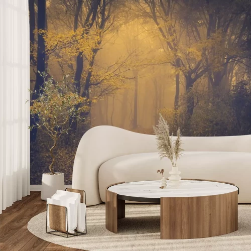 Sticker Mysterieuze mistig bos met een sprookjesachtige aanblik