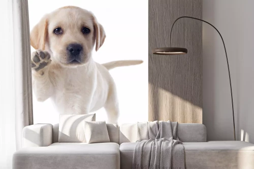 Visualisatie van het product