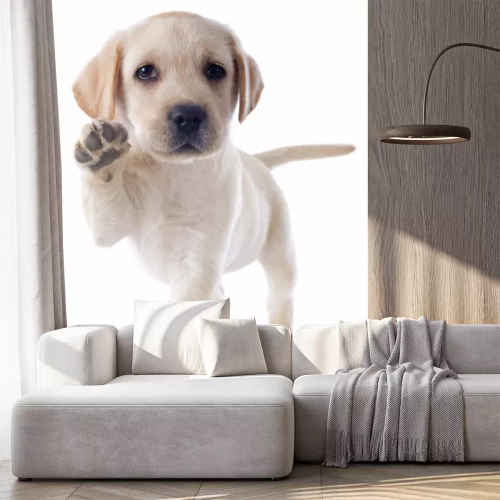 Sticker Kleine hond geeft poot