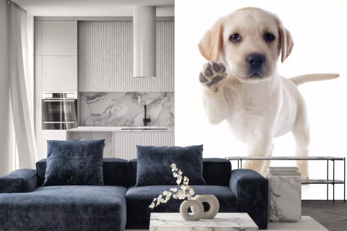 Visualisatie van het product