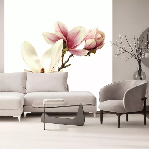 Sticker Realistische magnoliatak op een witte achtergrond