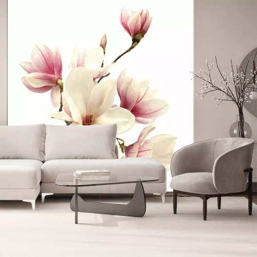 Fotobehang Foto van magnoliabloemen op een witte achtergrond