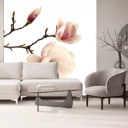 Sticker Zalmmagnolia's op een witte achtergrond