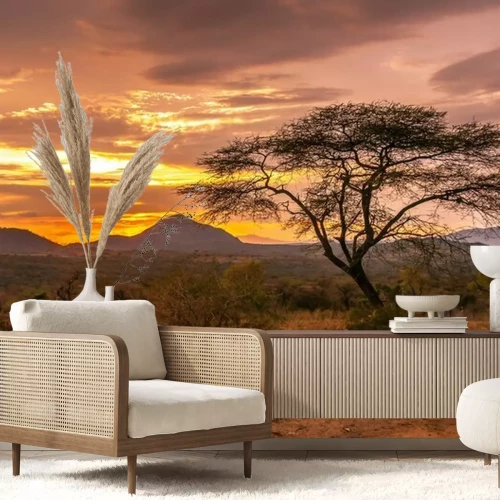 Fotobehang Zonsondergang op de savanne