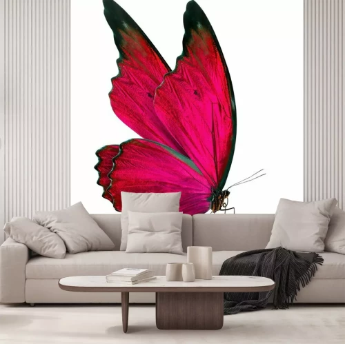 Fotobehang Vlinder met gevouwen vleugels